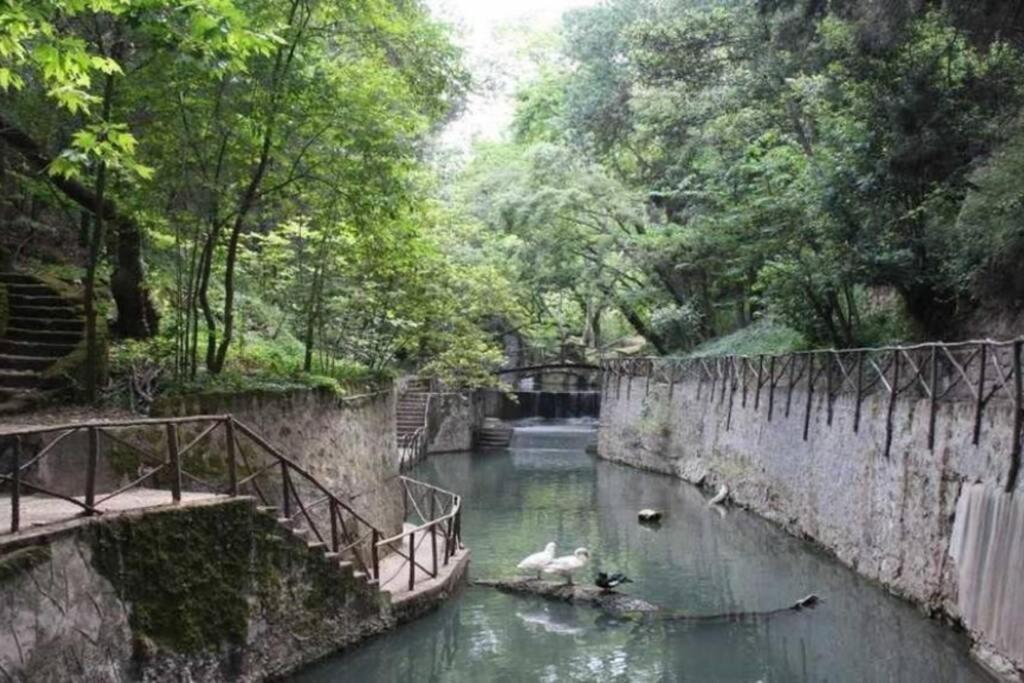 Oasis In The Heart Of Rhodes, Next To Old Town, Near Beaches - Haven *